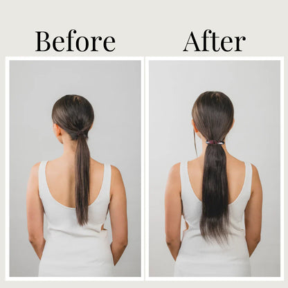 Ponytail